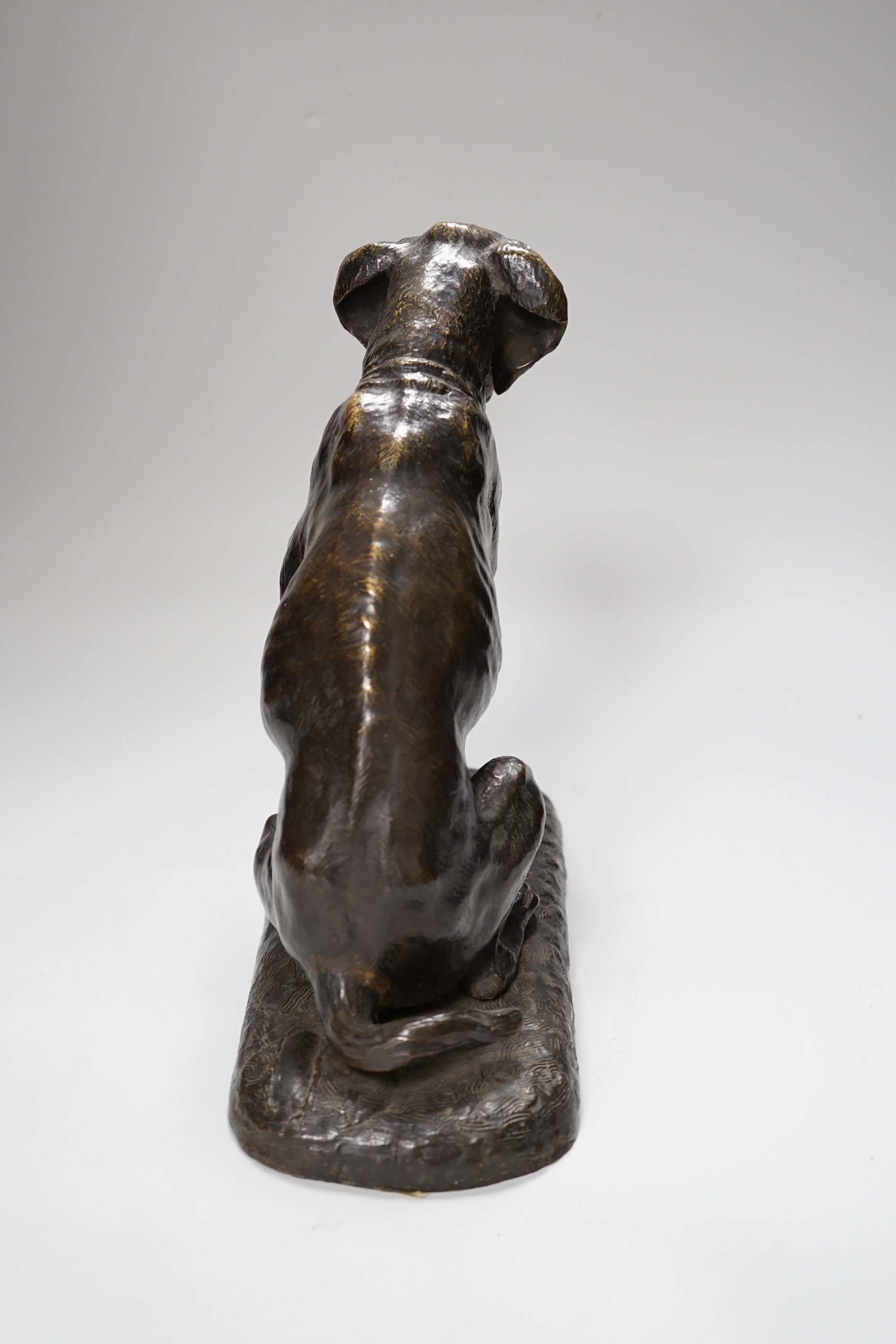 A late 19th century bronze hound with an articulated mouth, 26cm high